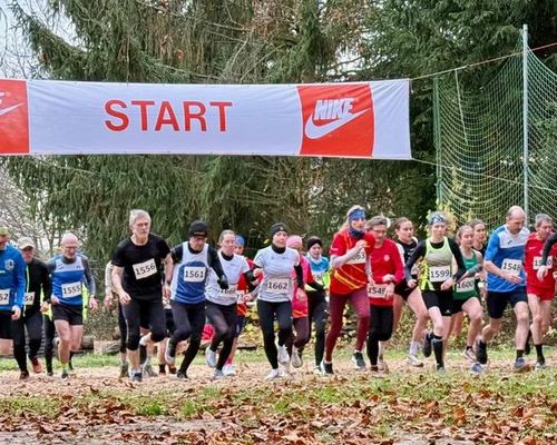 LM Cross 2025-Lauf um den Mittelpunkt von Sachsen