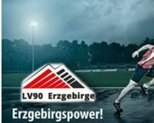 Stellenausschreibung Regionaltrainer/in LV 90 Erzgebirge