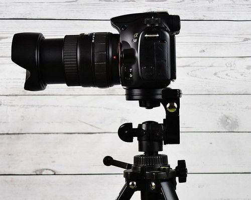 Fotowettbewerb des DLV mit seinem Partner CEWE