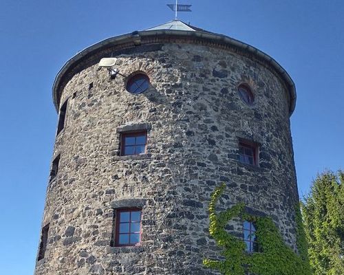 Die Idee des Froschlaufes lebt im Wiesengrundlauf weiter